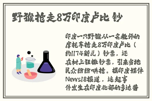 性宝福丝瓜草莓芭乐小猪鸭脖